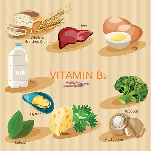 The Power of B Vitamins in Prenatal Nutrition - HealthyPregnancy.com