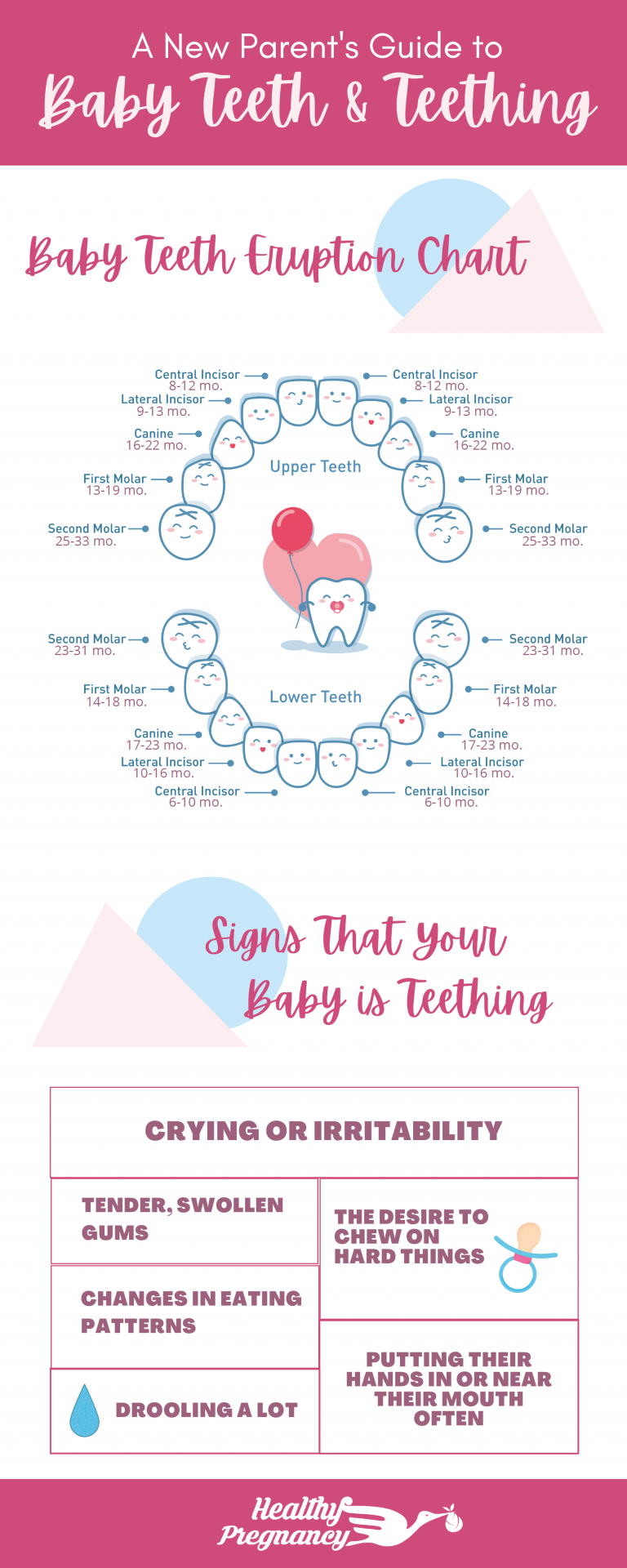 A Complete Guide to Baby Teeth and Teething - Healthy Pregnancy