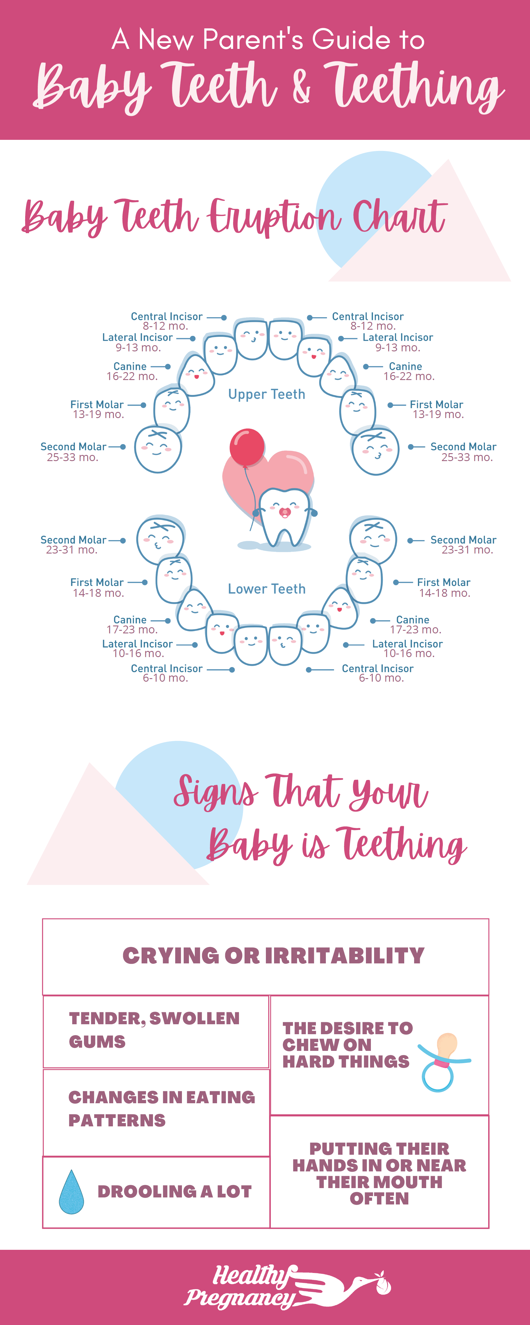 A Complete Guide to Baby Teeth and Teething - Healthy Pregnancy