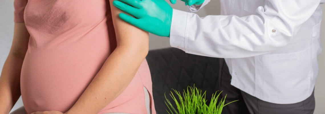 vaccination during pregnancy